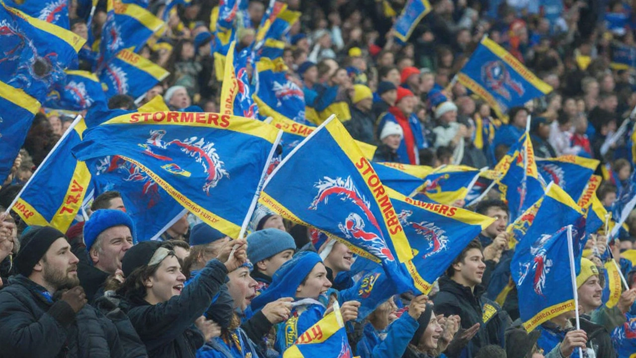 Looking ahead: what the Stormers need for 2025‑26